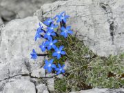 escursione alle cinque torri (21/43)